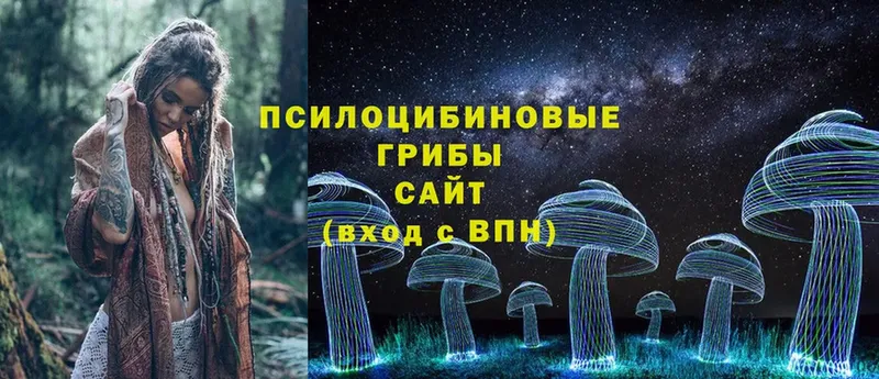 блэк спрут онион  Вихоревка  Галлюциногенные грибы Magic Shrooms 